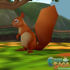 Squirrel